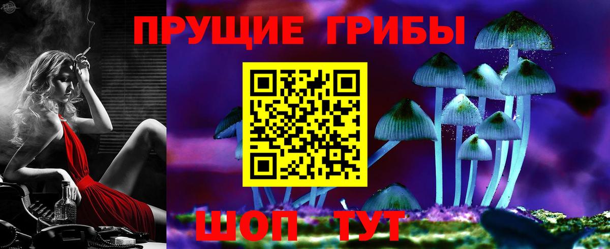 Энгельс  Галлюциногенные грибы Cubensis  Вход с VPN 
